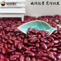 Dark Red Kidney bean 2015 crop HPS size 200-220pcs/100g